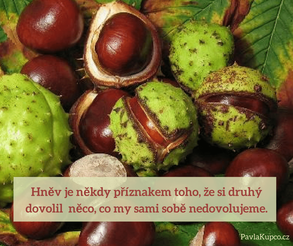 hnev-je-nekdy-priznakem-toho-ze-si-druhy-dovolit-neco-co-my-sami-sobe-nedovolujeme